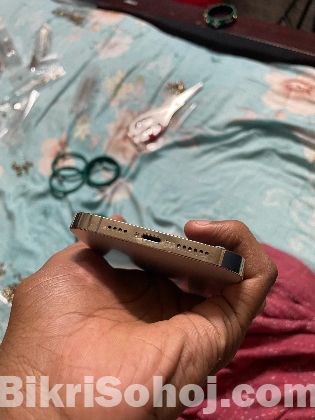 i phone 13 pro Mex